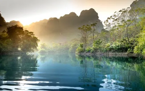 科技稳定性高端